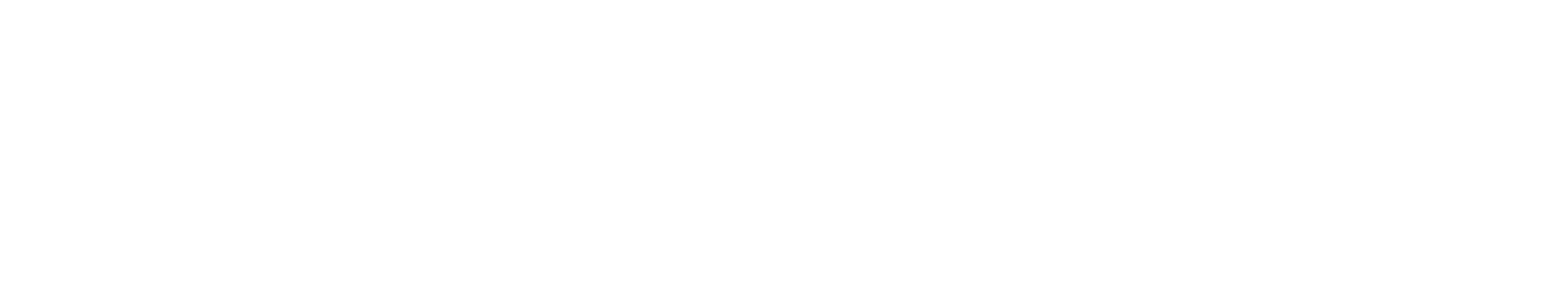 FORGE